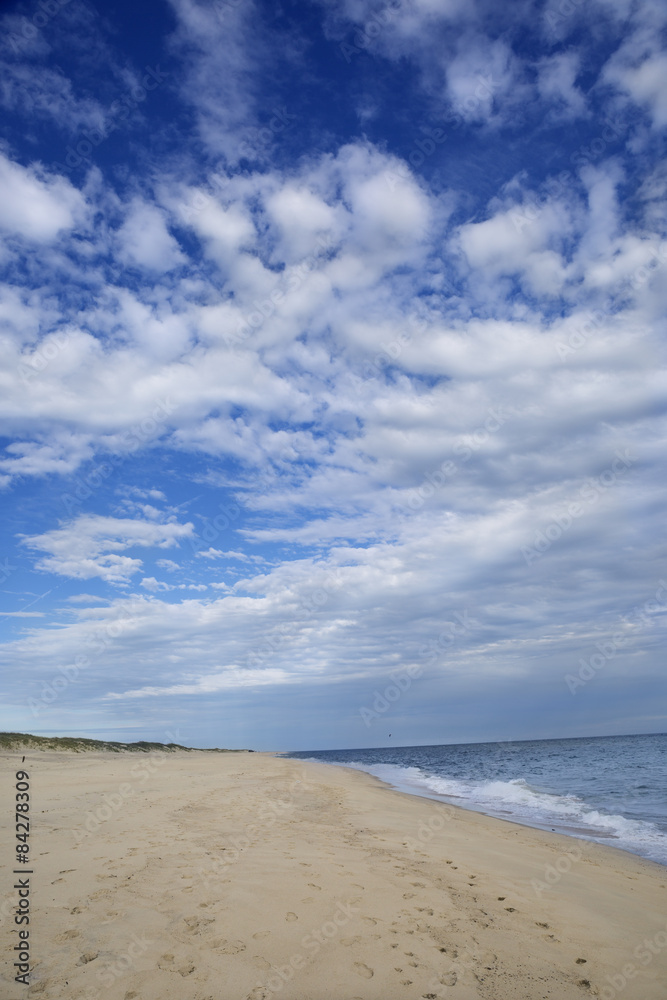 Beach on Martha's Vineyard in Massachusetts