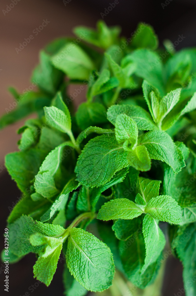 fresh mint leaves on a wooden background fresh mint leaves on a wooden background