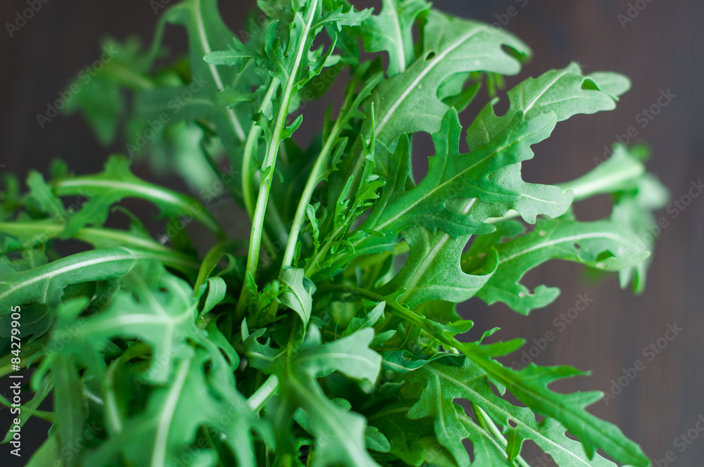 fresh ruccola leaves on the wooden background fresh ruccola leaves on the wooden background