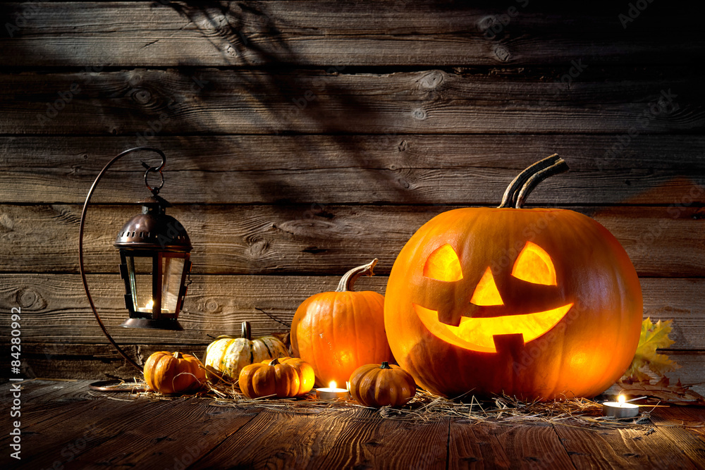 Halloween Pumpkins - obrazy, fototapety, plakaty 