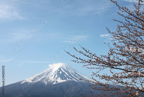 Mount Fuji and sakura not blossom.