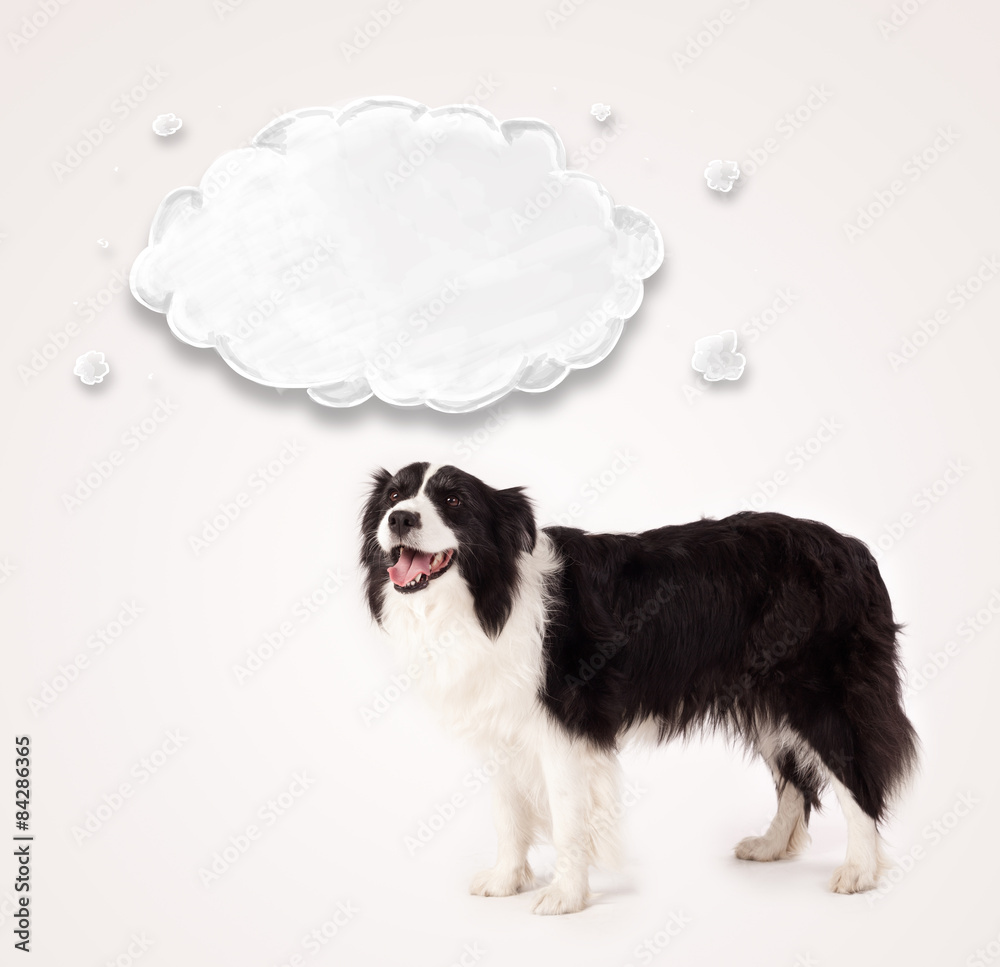 Fototapeta premium Cute border collie with empty cloud