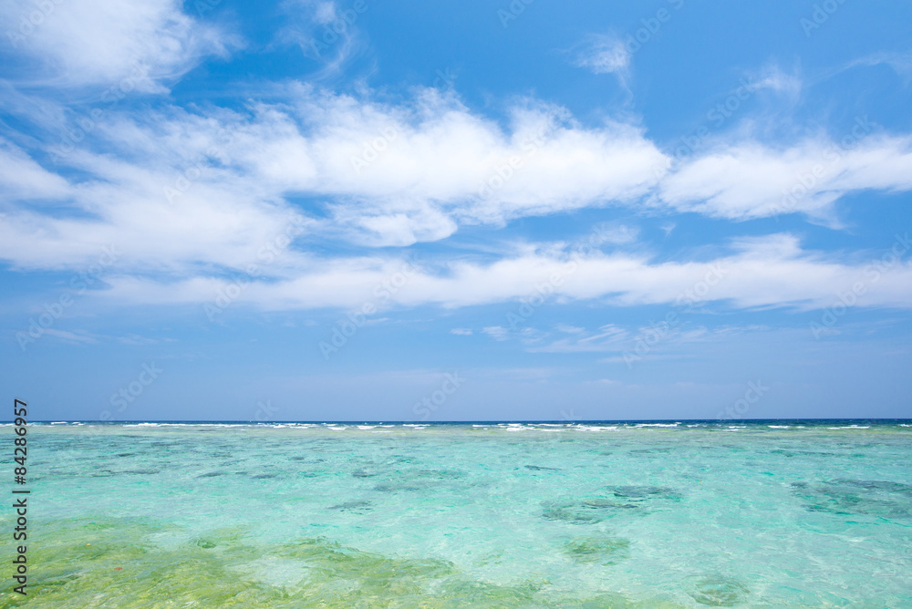 沖縄の海