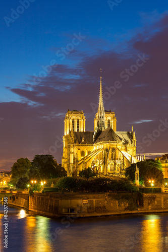 Notre Dame Cathedral Paris dusk © vichie81