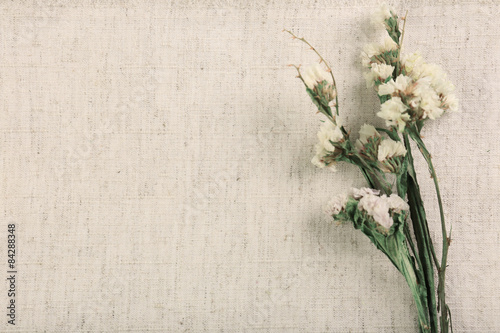 Beautiful dry flowers on fabric background