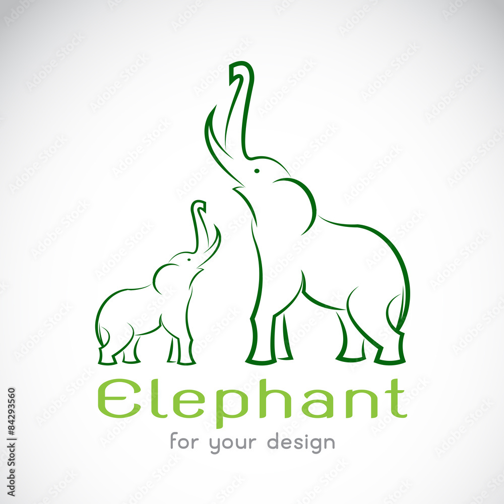 Vector image of an elephant on a white background