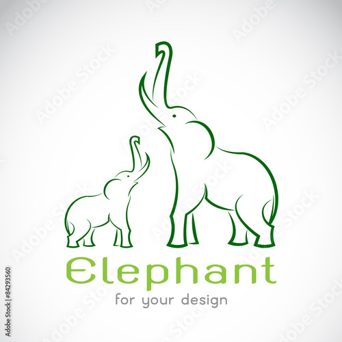 Vector image of an elephant on a white background