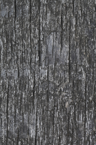 Beautiful wood texture