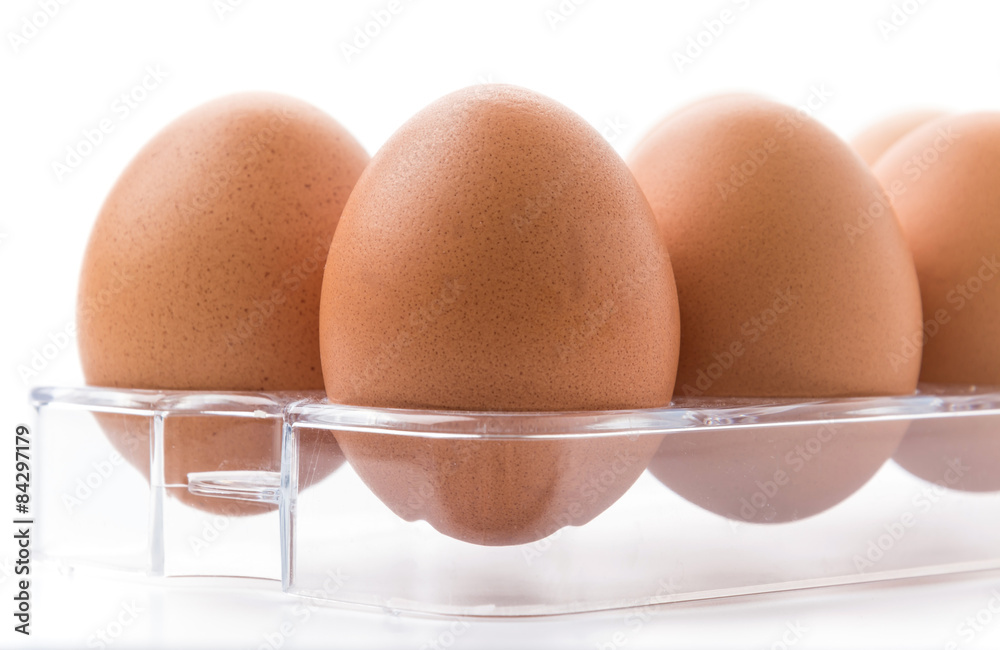 chicken egg chicken egg