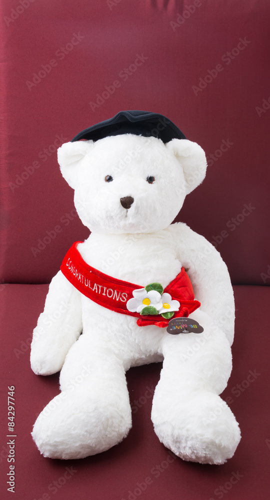 Toy teddy bear Toy teddy bear