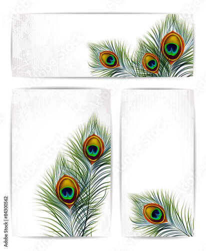Set of vector peacock feathers with space for text. EPS 10