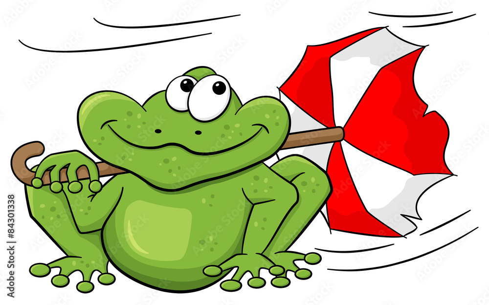 Frosch mit Schirm im Sturm – Stock-Vektorgrafik | Adobe Stock