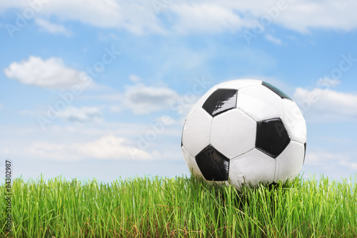 Soccer ball in a green grass field