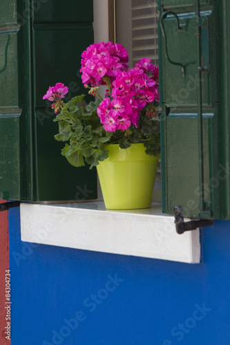 Fototapeta Naklejka Na Ścianę i Meble -  flower in the vase