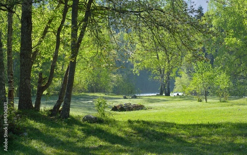 Glade in mountains