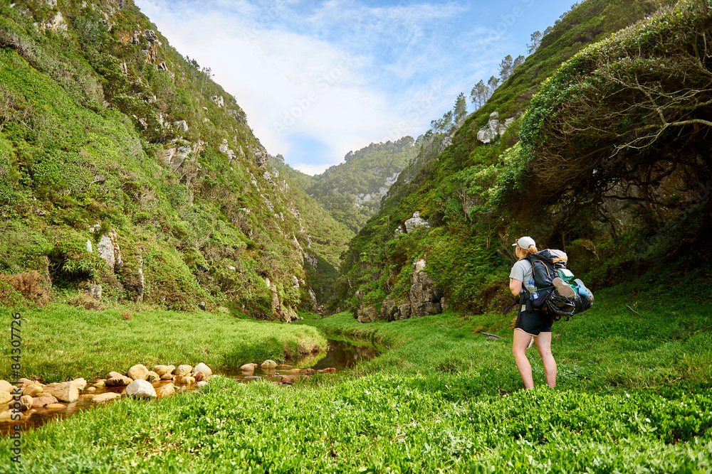 Naklejka premium Lone hiker on a nature trail admiring the beauty