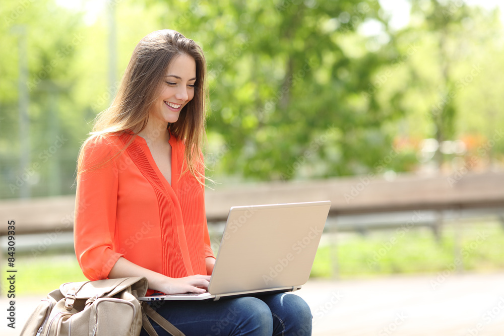 Entrepreneur working with a laptop in a park Entrepreneur working with a laptop in a park