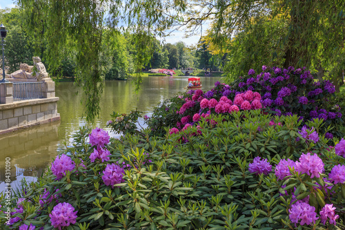 Flowers in Royal Lazienki Park, Warsaw, Poland