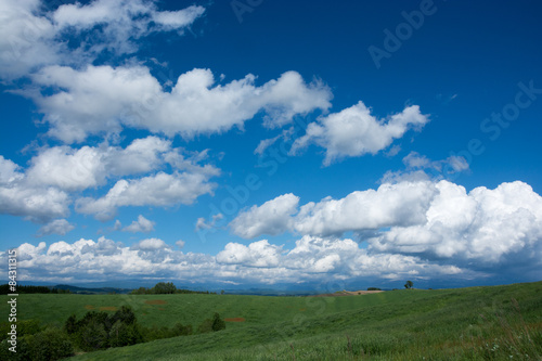 初夏の青空 © kinpouge