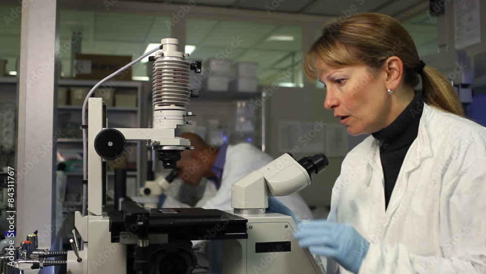 Microscopes Woman in Front Microscopes Woman in Front