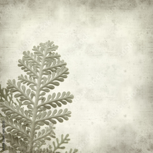 Wallpaper Mural textured old paper background Torontodigital.ca