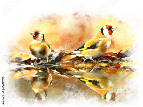 Watercolor Image of birds Gold finch