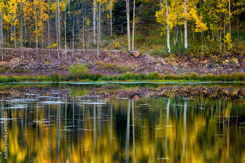 Reflecting On Fall In Colorado