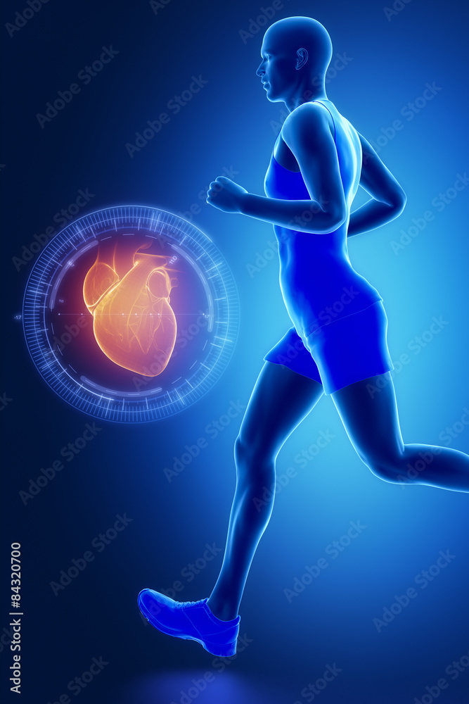 Athletic man running with healthy heart