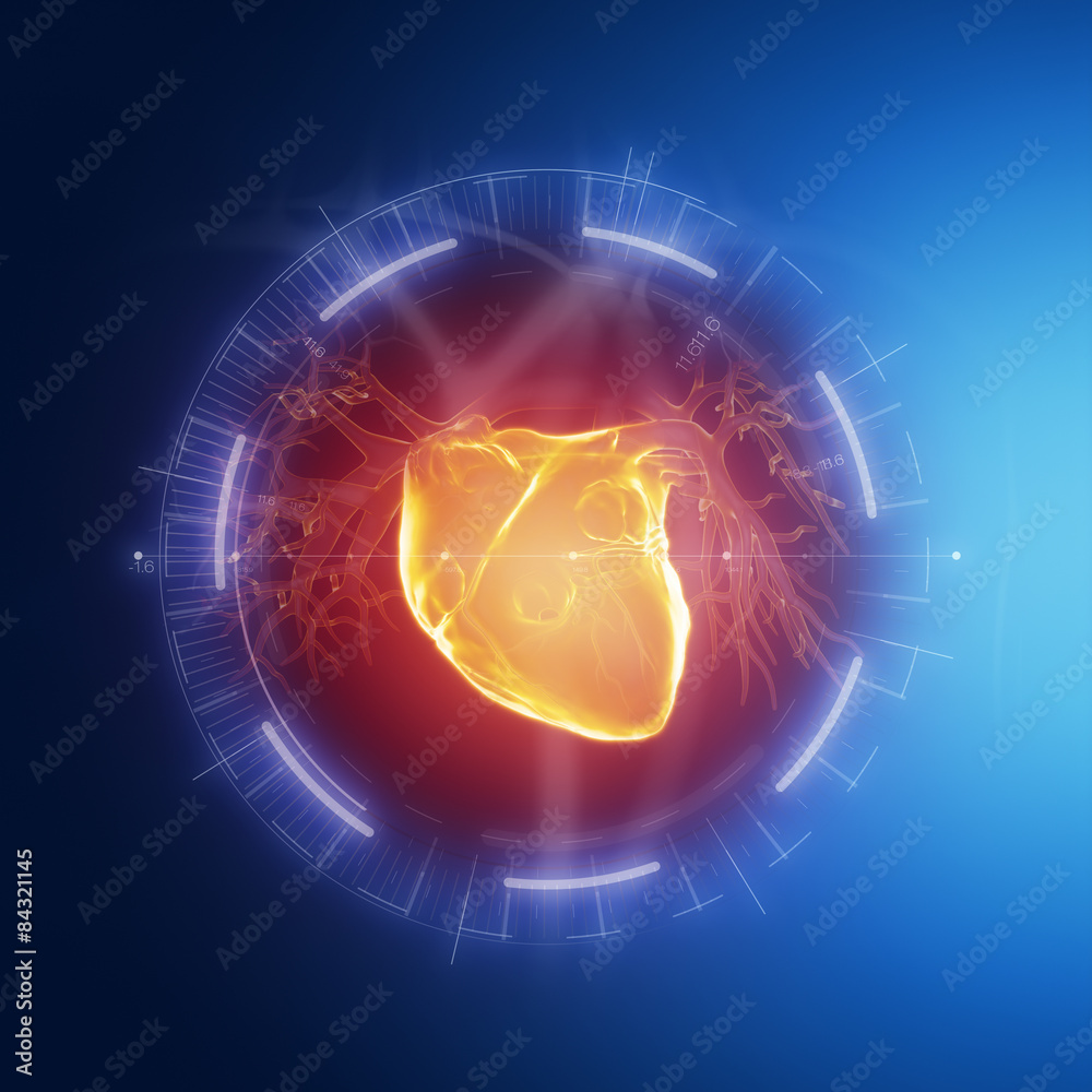 Human heart Human heart
