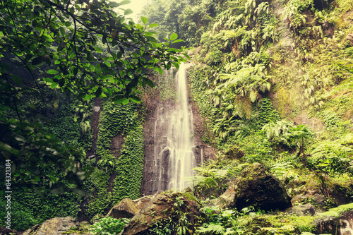 Fototapeta Naklejka Na Ścianę i Meble -  Waterfall in Indonesia