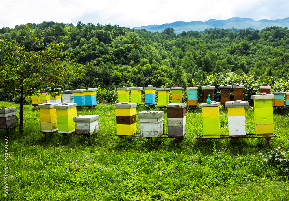 Colored bee houses on meadow in countryside of Montenegro. Colored bee houses on meadow in countryside of Montenegro.