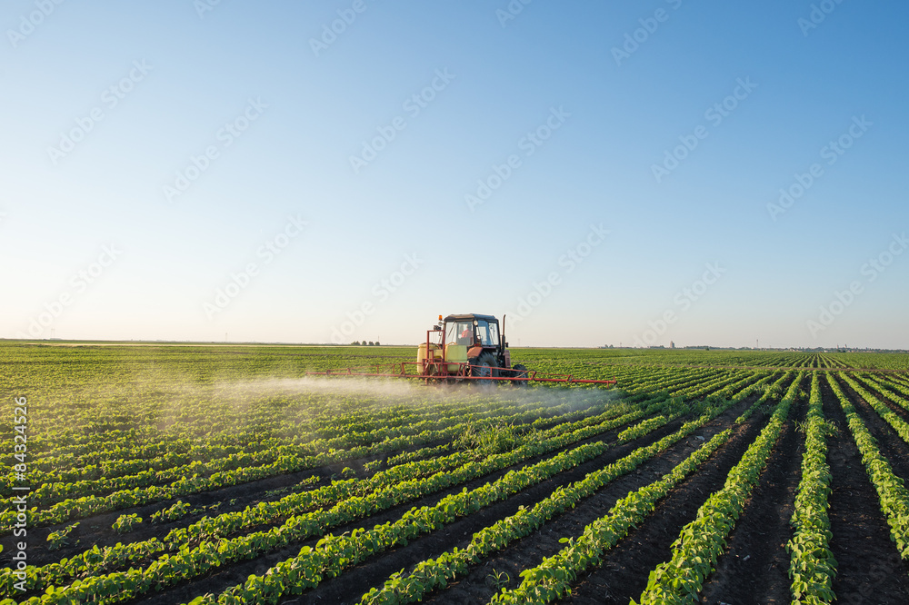 Obraz premium Tractor spraying