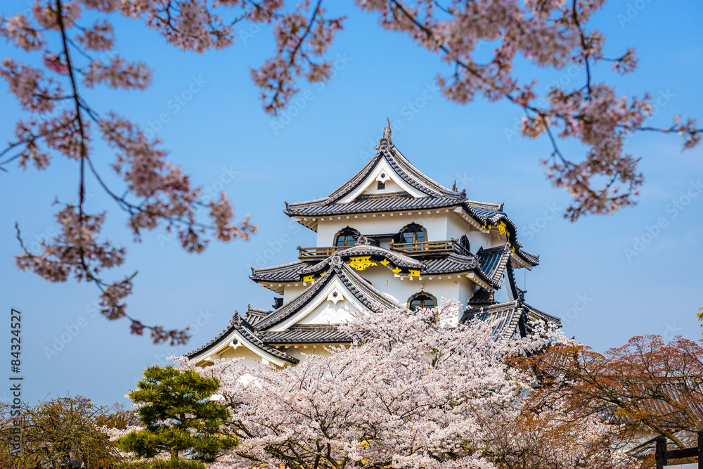 HIkone Castle HIkone Castle