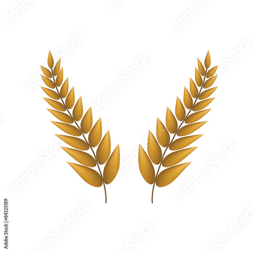 Wheat spikelet vector illustration