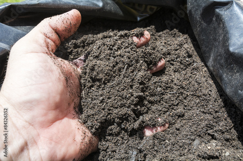 Mulch in a sack for the orhcard, garden or field photo