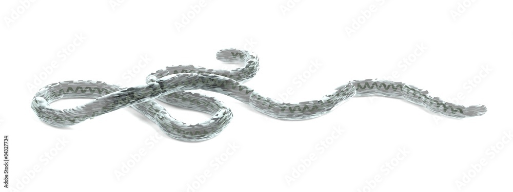 3d render of Ebola Virus model 3d render of Ebola Virus model