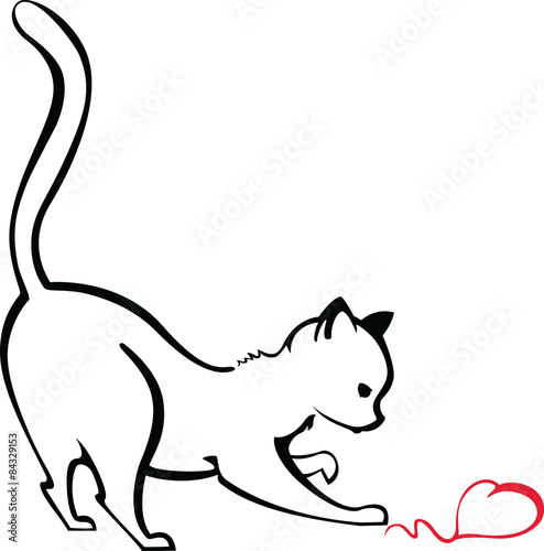 White cat