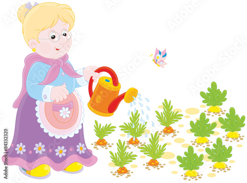 Granny watering vegetables
