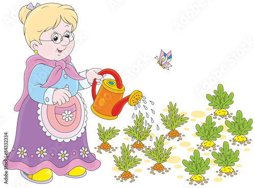 Granny watering vegetables