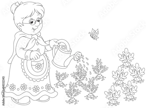 Granny watering vegetables
