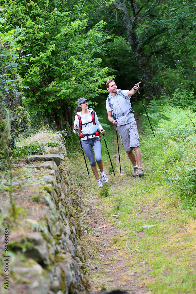 Couple of hikers walking in forest track Couple of hikers walking in forest track