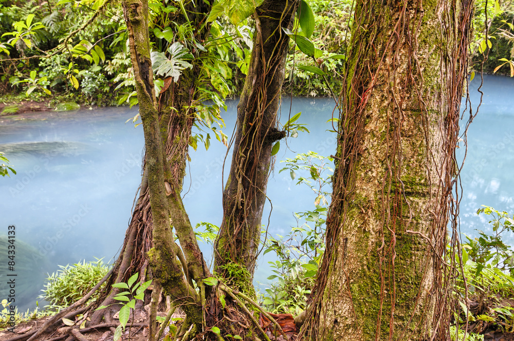 Fototapeta premium Vivid blue Rio Celeste