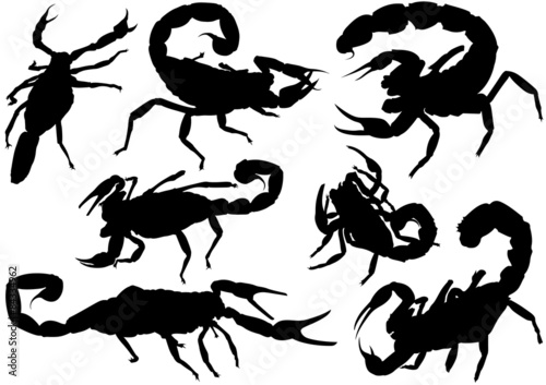 Scorpion Silhouettes