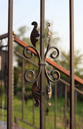 Wrought-iron fence elements of railing on defocesed background