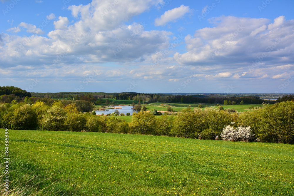 Spring landscape with lake Spring landscape with lake