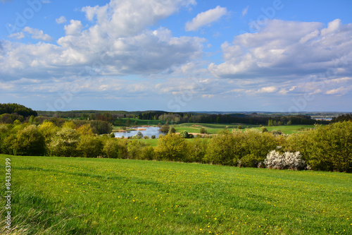 Spring landscape with lake