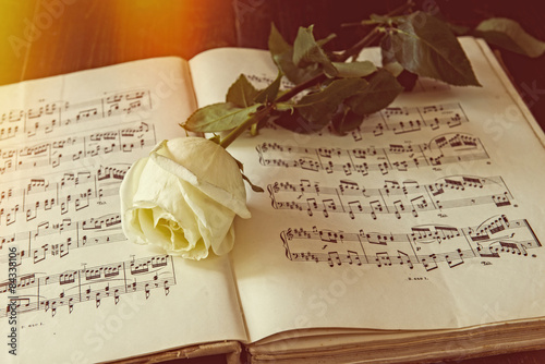 Ancient melody of love, note and rose