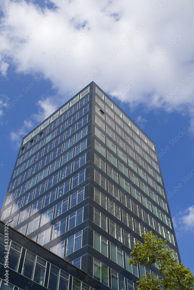 Bürohochhaus mit schwarzer Glasfassade und Baum