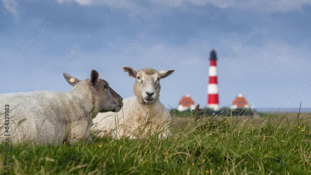 Obraz premium Westerhever Lighthouse in Schleswig-Holstein