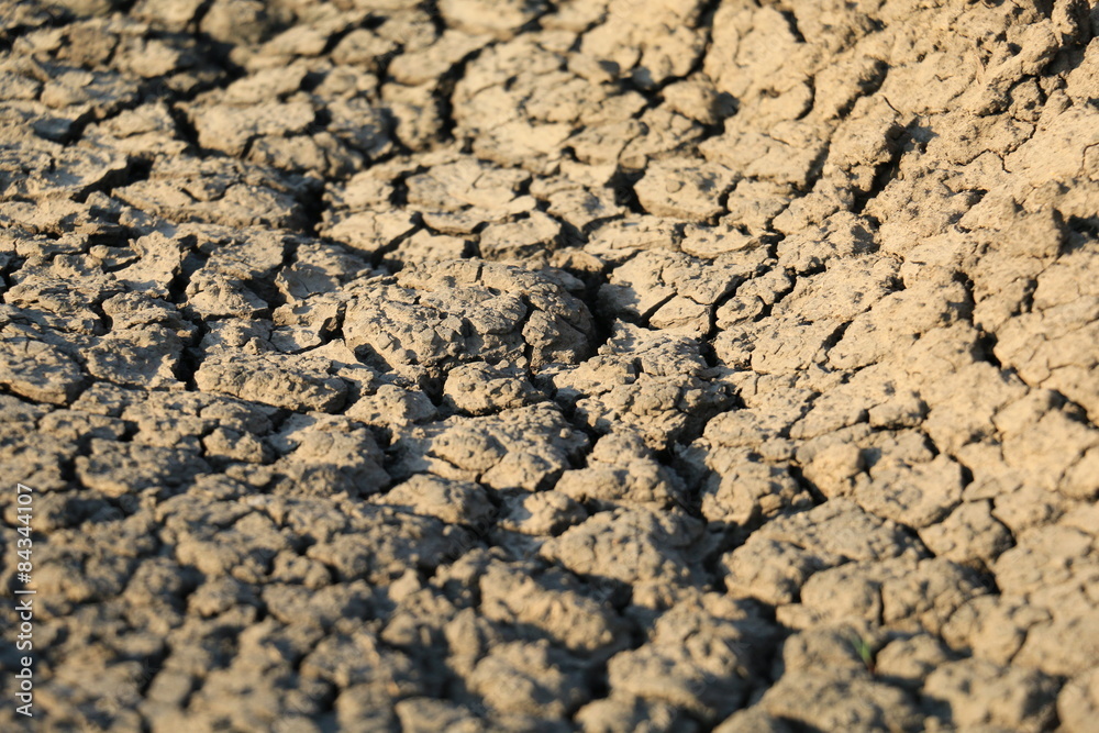 Fototapeta premium Cracked earth in dry desert